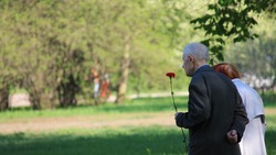 Добровольцы всероссийского общественного движения поддержали акцию «Красная гвоздика»