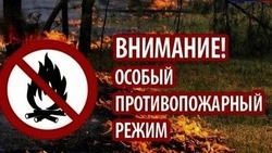 Особый противопожарный режим продлён на территории Белгородской области
