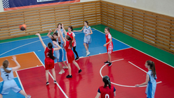 Алексеевские школьники победили в дивизионном чемпионате школьной баскетбольной лиги
