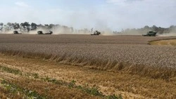 Алексеевские аграрии убрали более 27 000 га ранних зерновых культур