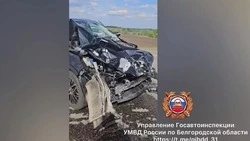 Легковой автомобиль и сельскохозяйственная машина столкнулись в Алексеевском округе  1 мая