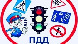 Белгородские школьники пройдут тест на знание правил дорожного движения