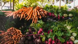 Белгородские власти увеличат объём местного производства овощей в три раза