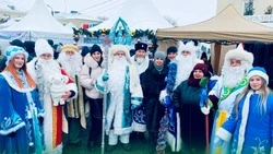 Алексеевцы лучше всех передали новогоднее настроение на региональном фестивале вареников