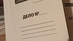 Алексеевские полицейские задержали водителя за попытку передачи взятки инспектору ДПС