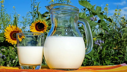 Праздник молока в Советском Алексеевского горокруга пройдёт 4 июня 