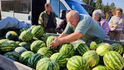 Продовольственная ярмарка прошла в селе Репенка Алексеевского горокруга