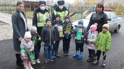 Красненский отдел ГИБДД устроил встречу с дошкольниками