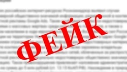 Александр Пушной и «Лапша Медиа» объяснили юным белгородцам понятие  «фейк»