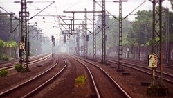 Скоростной поезд «Ласточка» будет осуществлять сообщение между Белгородом и Москвой