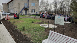 Варваровцы Алексеевского горокруга открыли в селе Аллею памяти 