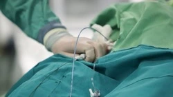 Вячеслав Гладков: «Провели 12 операций по трансплантации органов в Белгородской области»