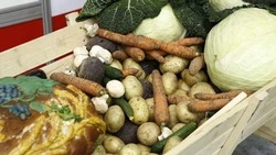 Вячеслав Гладков сообщил о сборе свыше 50 тыс. тонн овощей открытого грунта