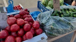 Замгубернатора по АПК Белгородской области Юлия Щедрина – о снижении стоимости на овощи 