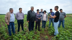 Красненская сельскохозяйственная комиссия оценила состояние посевов на полях района