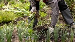 Вячеслав Гладков: свыше 100 тыс. белгородцев приняли участие в месячнике добровольного служения