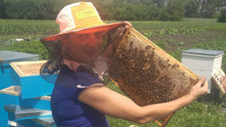 Жительница Ближнего Чесночного Алексеевского горокруга занялась пчеловодством
