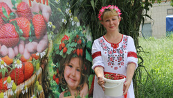 Жители Красненского района проведут межрайонный фестиваль «Ягодный рай» 
