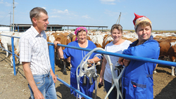 Фермеры из алексеевского Луценкова получили 18 килограммов молока от коровы в день