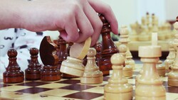 Юные шахматисты из Алексеевки стали бронзовыми призёрами областной спартакиады