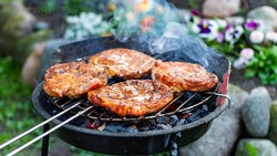 Фестиваль барбекю соберёт белгородцев в «Пикник-парке» 7 июля