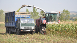 Сельхозпредприятие «Советское» Алексеевского горокруга закончило уборку ранних зерновых