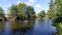 Очистка двух участков реки Потудань завершилась в Красненском районе