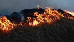 Муниципалитеты Алексеевки и Красного предупредили жителей о пожароопасном периоде