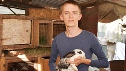 Ушастый бизнес. Как житель Красненского района занялся разведением кроликов