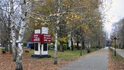 Пять дней осталось до конца публичного опроса по выбору мероприятий благоустройства в Алексеевке