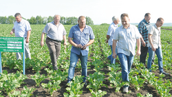 Руководители сельхозпредприятий Алексеевского района оценили угодия и будущий урожай