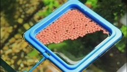 Вячеслав Гладков — о выделении 50 млн рублей для победителей третьего этапа конкурса «Агростартап»