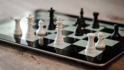 Алексеевские шахматисты провели два онлайн-турнира