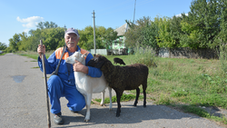 Малиново Красненского района стал желанным хутором для пенсионеров и столичных дачников