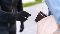 Жительницу Алексеевки обокрал её знакомый на 700 тысяч рублей