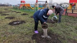 Красненцы подвели итоги Всероссийской осенней акции «Сохраним лес»