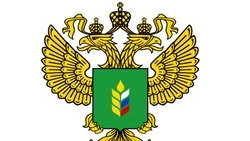Министерство сельского хозяйства РФ запустило национальную премию