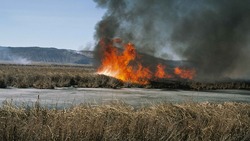 10 случаев возгорания сухой травы и мусора произошло в Белгородской области 2 апреля