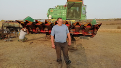Алексеевский фермер отказался от сахарной свёклы в пользу подсолнечника