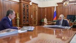 Вячеслав Гладков доложил президенту о развитии среднего и малого бизнеса в Белгородской области