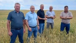 Итоги первого этапа рейтингового соревнования среди сельхозпроизводителей подвели в Алексеевке