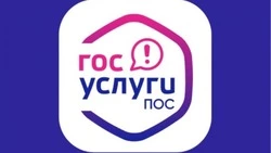 Почти 24 000 обращений белгородцев зарегистрировано на Платформе обратной связи с начала 2025 года