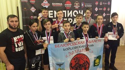 Алексеевский клуб «Эдельвейс» пополнил копилку достижений десятью медалями