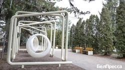 Вячеслав Гладков: белгородцы отдали около 200 тыс. голосов за объекты благоустройства 