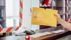 Белгородцы начали активно пользоваться системой ЮВЖД «от вокзала к вокзалу»