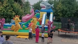 Жители Готовской территории Красненского района отметили День села 