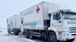 Главный врач областного центра общественного здоровья выразила благодарность красненским энергетикам