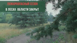 Пожароопасный сезон завершился в Белгородской области