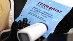 Защитите себя от гриппа и ОРВИ. Сотрудник Роспотребнадзора рассказал о способах борьбы с недугами