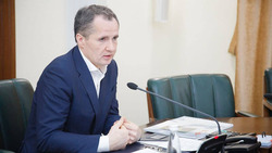 Вячеслав Гладков предложил создать Общественный Совет по проблемам безнадзорных животных